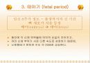 태내기 발달단계 11페이지