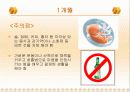 태내기 발달단계 13페이지
