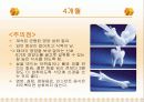 태내기 발달단계 19페이지