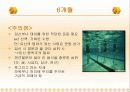 태내기 발달단계 23페이지