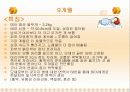 태내기 발달단계 28페이지