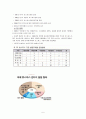 호스피스 서비스 실태 5페이지
