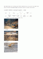 교량기초의 지질조사 24페이지