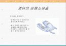 [PPT] 심폐소생술 27페이지