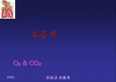 [PPT] 인체의 호흡계의 구조와 운동 1페이지