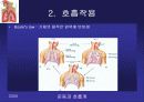 [PPT] 인체의 호흡계의 구조와 운동 7페이지