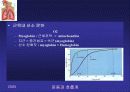 [PPT] 인체의 호흡계의 구조와 운동 26페이지