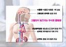 보건교육-고혈압의 치료와 예방법 프레젠테이션 34페이지