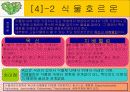 빛의파장에따른 종자발아와 종자발아의 억제와 촉진요인에 대한 실험 9페이지
