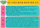 빛의파장에따른 종자발아와 종자발아의 억제와 촉진요인에 대한 실험 10페이지