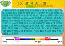 빛의파장에따른 종자발아와 종자발아의 억제와 촉진요인에 대한 실험 15페이지