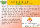 빛의파장에따른 종자발아와 종자발아의 억제와 촉진요인에 대한 실험 16페이지