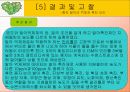 빛의파장에따른 종자발아와 종자발아의 억제와 촉진요인에 대한 실험 17페이지