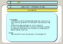 화이트와 위스퍼의 마케팅 전략 비교 분석 11페이지
