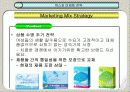 화이트와 위스퍼의 마케팅 전략 비교 분석 39페이지