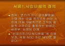 시민단체에 대한 이해와 문제점 및 해결방안 3페이지