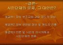 시민단체에 대한 이해와 문제점 및 해결방안 11페이지