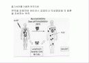 줄기세포의 활용과 문제점 14페이지