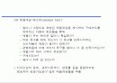 제품의 개발과 PLC 16페이지