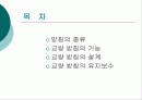 교량의 받침조건 2페이지