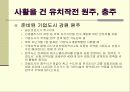 [행정학] 기업도시(ppt자료) 14페이지