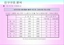 마케팅조사론_한국의 인구구조 변화와 전망 32페이지