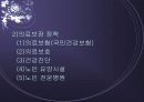 노인문제 13페이지