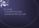 노인문제 14페이지