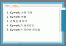 정보시스템을 활용한 싸이월드(CYWORLD)의 성공적인  마케팅 전략 분석 2페이지