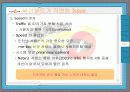 정보시스템을 활용한 싸이월드(CYWORLD)의 성공적인  마케팅 전략 분석 25페이지