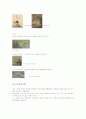 일본화에대해 5페이지