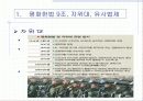 일본의 정치와 외교 5페이지