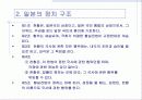 일본의 정치와 외교 12페이지