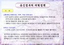 일본의 역사 27페이지