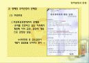 경주방폐장 정책의 문제점과 파급효과 그리고 해결방안 7페이지