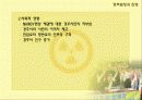 경주방폐장 정책의 문제점과 파급효과 그리고 해결방안 12페이지