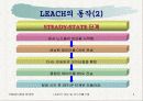 리치 개요 및 클러스터 헤드 선출 기법 5페이지