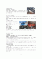지속가능한 상품 디자인 3페이지