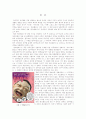 영화 핑크팰리스의 장애인 성차별에 대한 접근 2페이지
