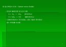 대기오염 17페이지
