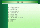 인라인스케인트 광고 전략 2페이지