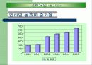 인라인스케인트 광고 전략 12페이지