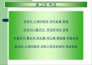 인라인스케인트 광고 전략 13페이지