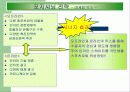 인라인스케인트 광고 전략 17페이지