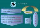 E마트의 경영사례 17페이지