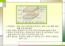 4장 영상 출력 장치  7페이지