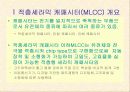 MLCC(Multy Layer Ceranic Condencer) 3페이지