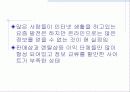 스노보드시장의 마케팅 분석 16페이지