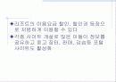 스노보드시장의 마케팅 분석 19페이지