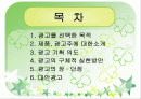 칠성사이다 광고 분석 2페이지
